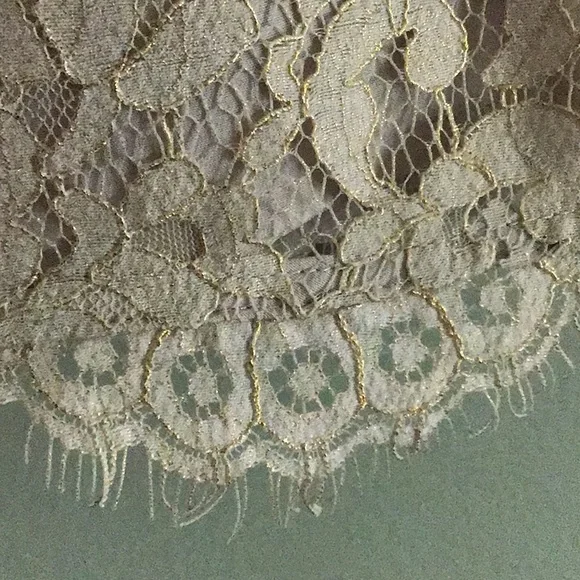 Joie Women’s Lace Pull On Skirt Cream Ivory Metallic L - Picture 5 of 10